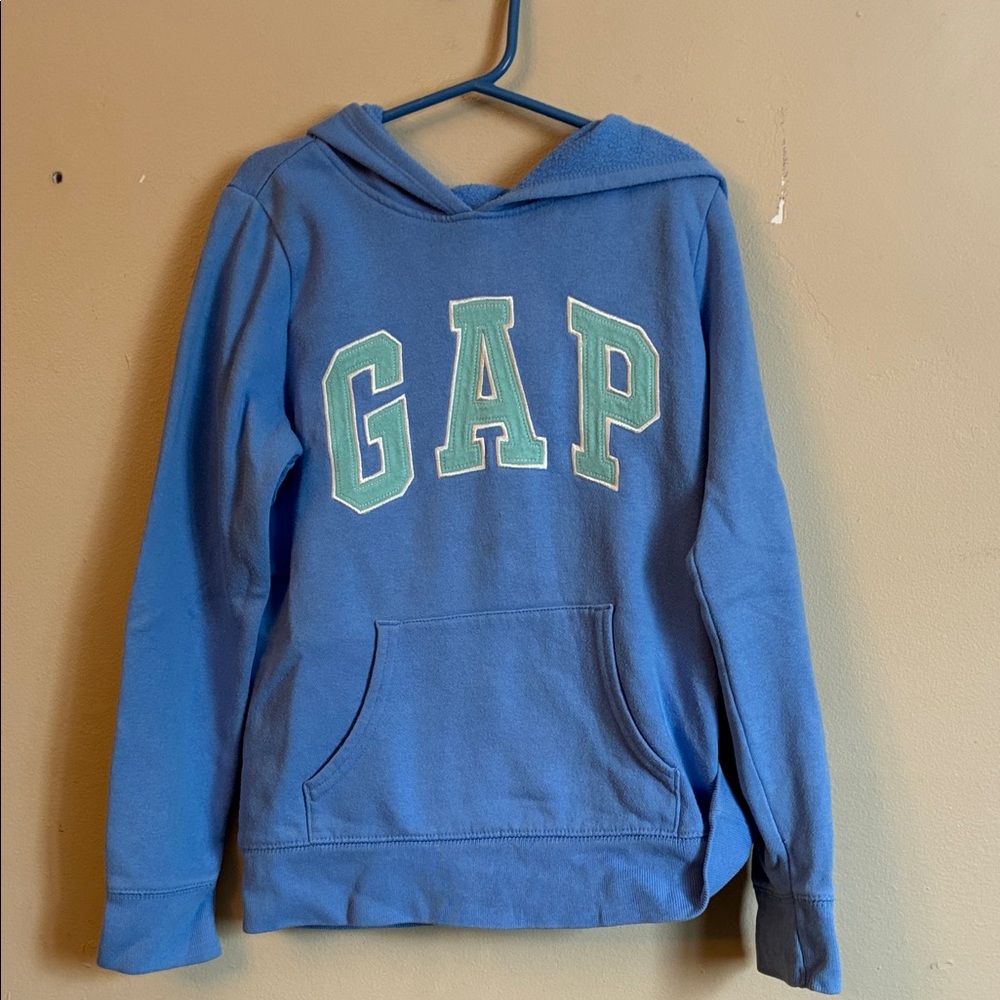 GAP Kids Blue and Green Logo Hoodie